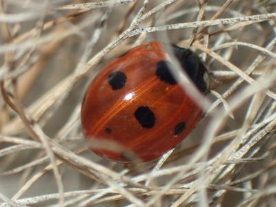 Прикрепленное изображение: 20211017_195753_1024x768.jpg